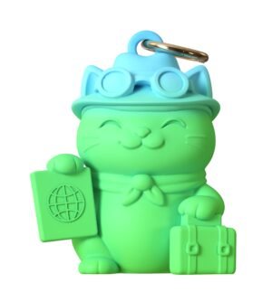 Viajero_1 Gato viajero